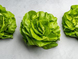 Three bunches of bibb lettuce