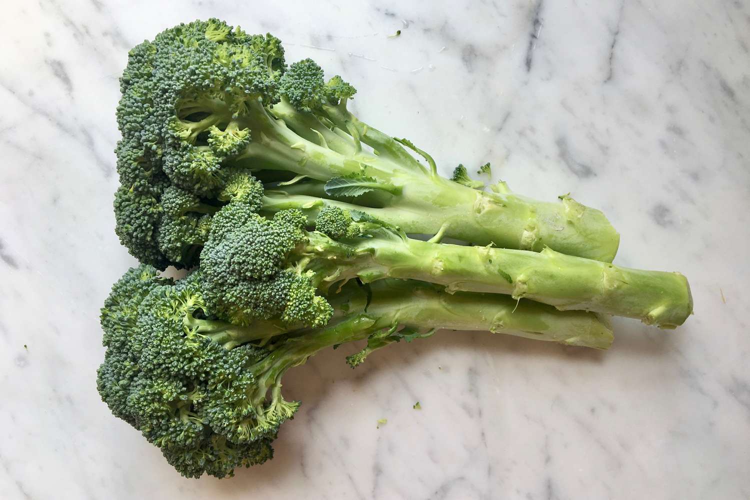 Fresh Broccoli