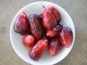 Hawaii Mountain Apple (Ohi'a 'ai)