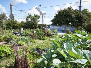 Urban Farm