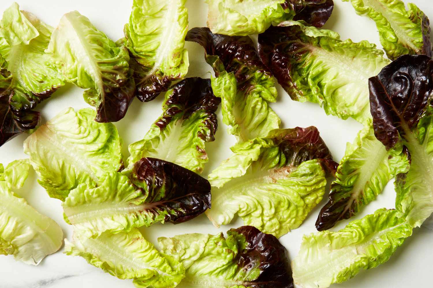 Scattered leaves of little gem lettuce on a marble surface