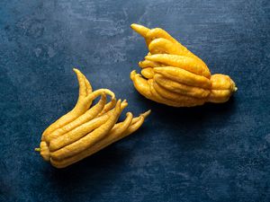 Buddha's hand citrus fruit