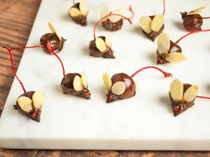 Chocolate covered cherry mice recipe