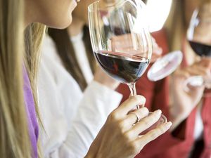 Women tasting wine with friends