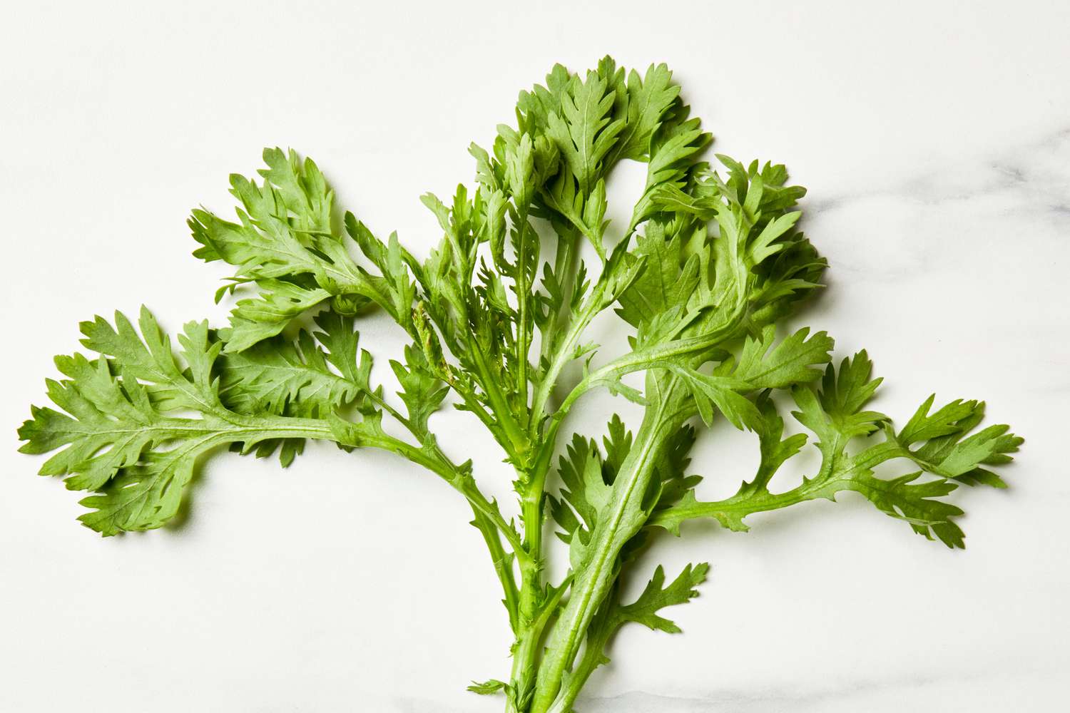 Chrysanthemum greens on a marble surface