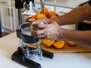 tested setting up zulay manual juicer with oranges in the background