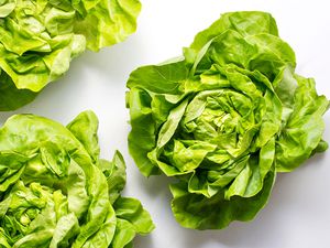 Butter lettuce