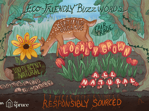 eco friendly buzzwords