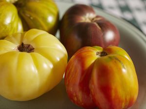 ripe multicolored heirloom tomatoes