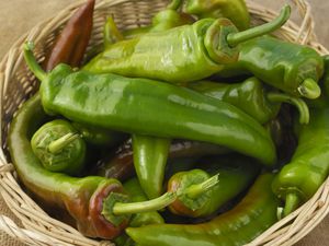 Anaheim peppers in basket