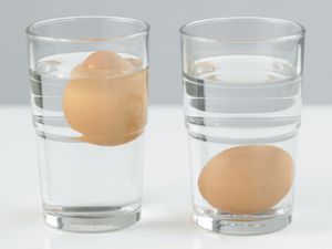 Testing eggs freshness in water