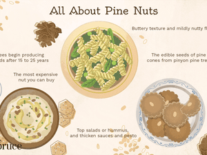 what are pine nuts