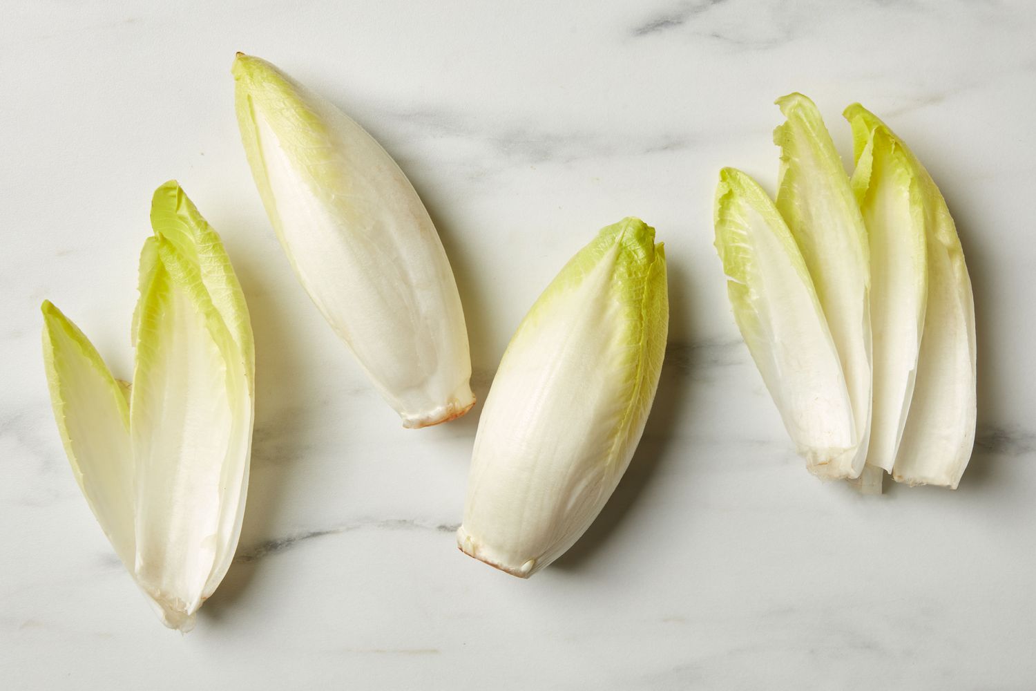 Belgian endive on a marble surface