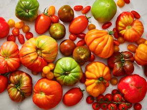 variety of tomatoes on marble surface 