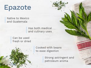 epazote on surface with text describing it's origins in Mexico, how to use, and flavor