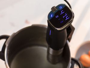 Sous vide circulator