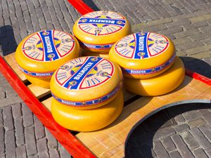 Beemster Gouda Cheese, Alkmaar, the Netherlands