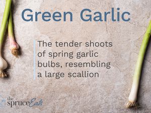 what is green garlic