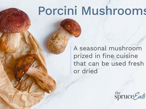 Porcini Mushrooms Annotated