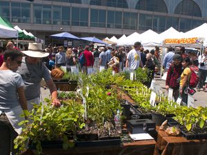 San Francisco Farmers Market