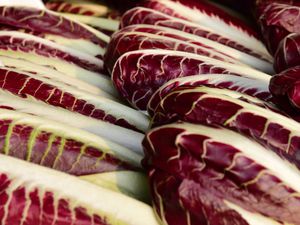 Heads of fresh radicchio precoce