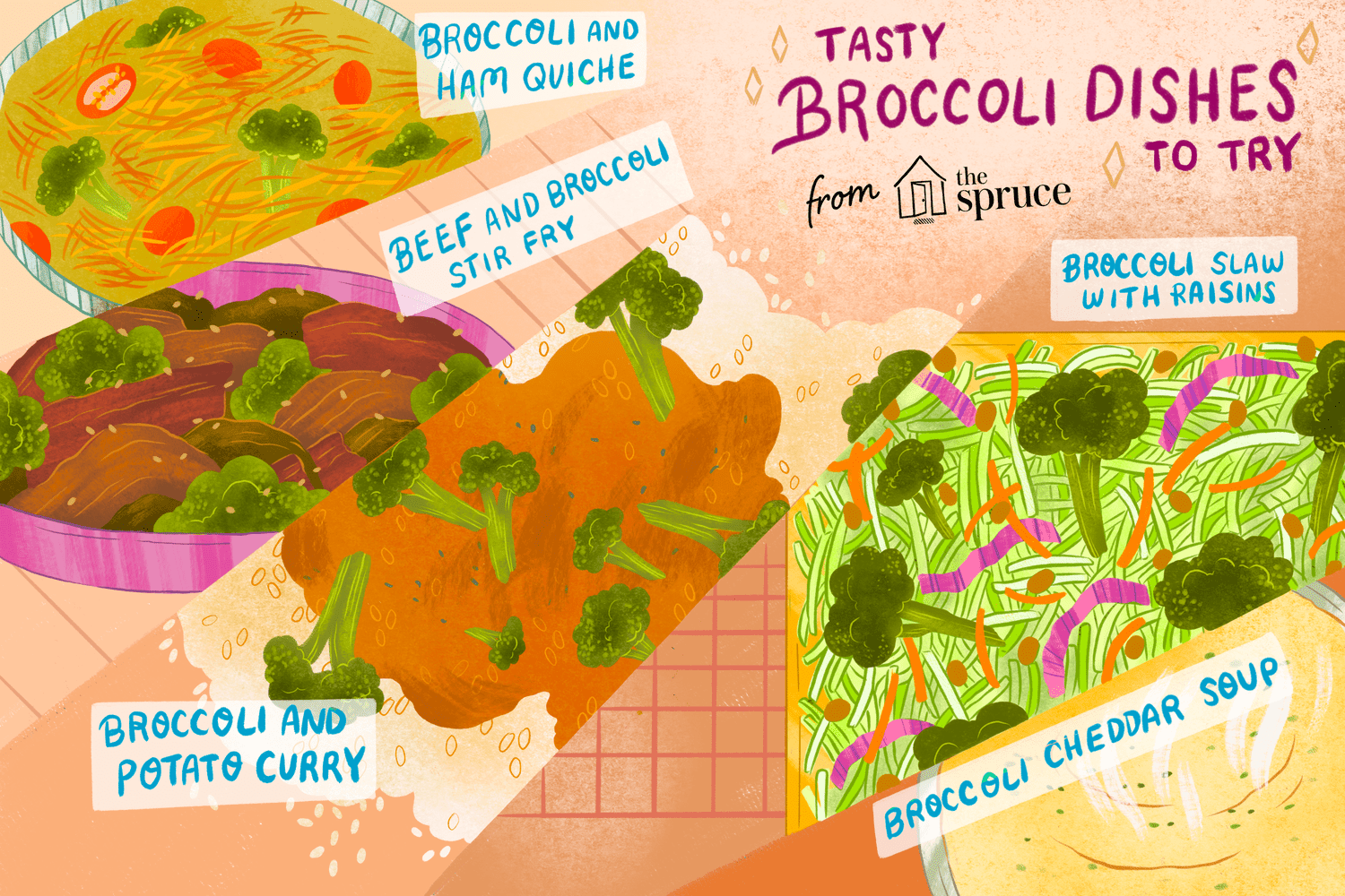 illustration featuring different broccoli dishes