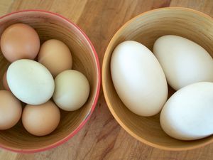 Goose Eggs