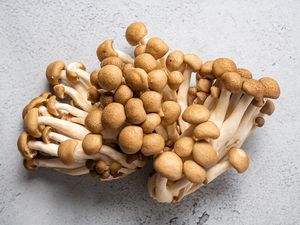 Shimeji mushrooms