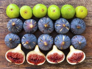 Black Mission and Adriatic Figs