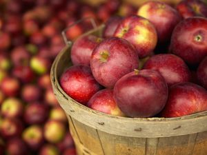 Apples in a basket at the farmers market