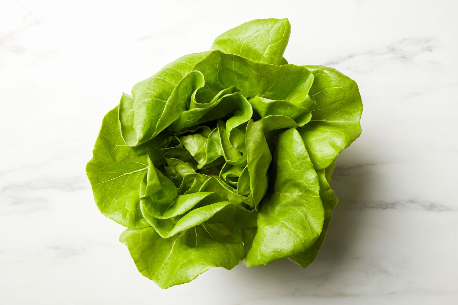 A head of butter lettuce on a marble surface