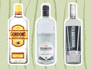 Three types of cheap gin on a green background