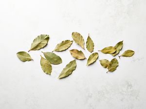 Bay leaves 