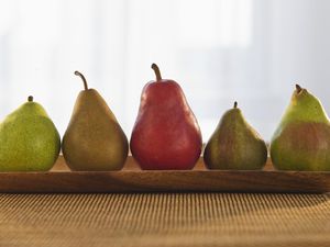 pear varieties