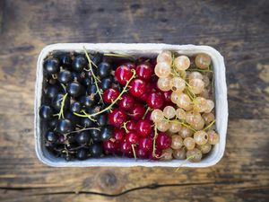 Fresh Currants