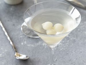 Gibson Gin Martini Cocktail Recipe