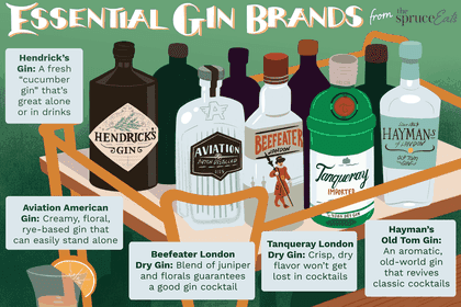 illustration of essential gin brands to know