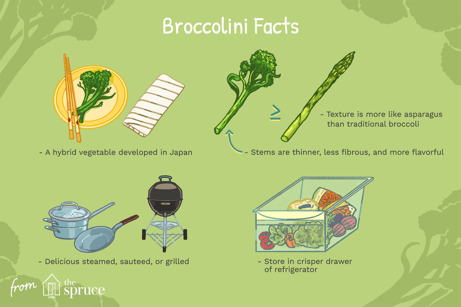 what is broccolini