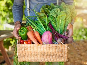 Basket of fresh produce