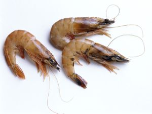 shrimp, raw, recipes, crustacean, shellfish, scampi, pink, receipts