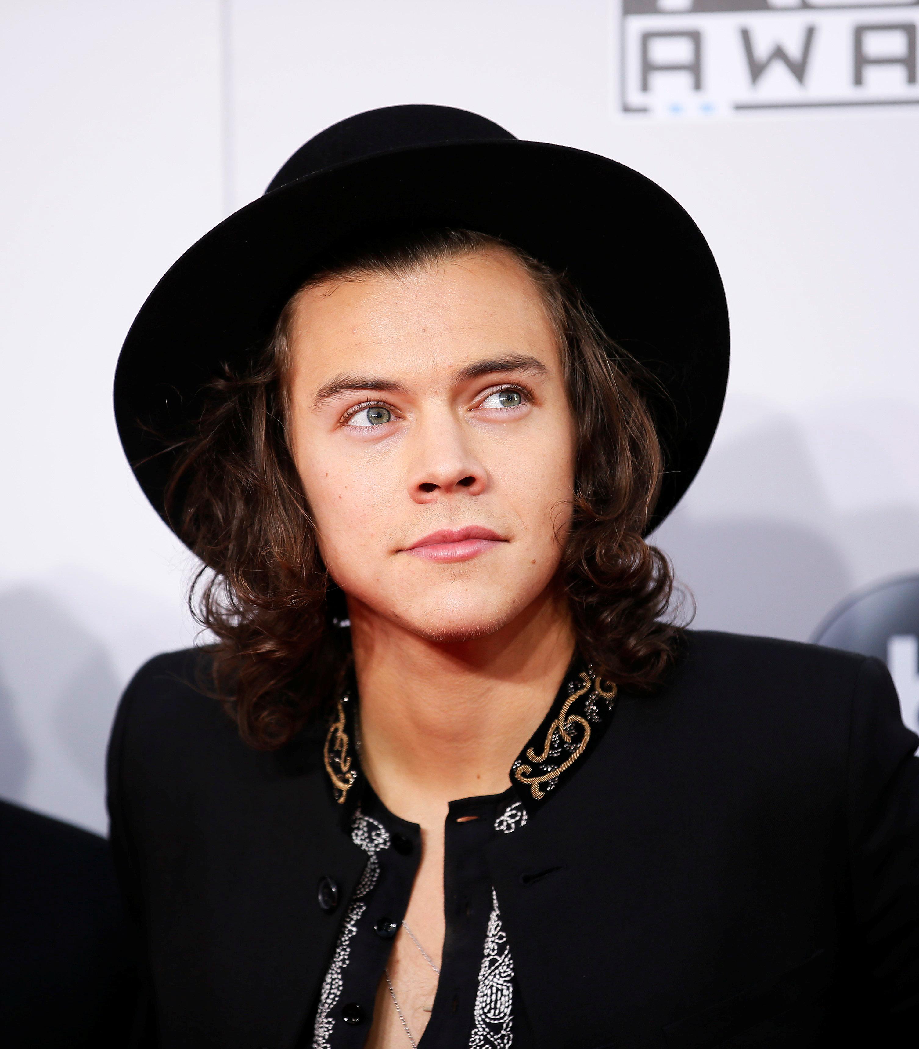  Harry Styles is secretly dating 'naked chef' and model Tess Ward