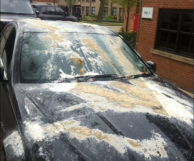  As a retirement present, Stoke City players covered Michael Owen's car in egg and flour