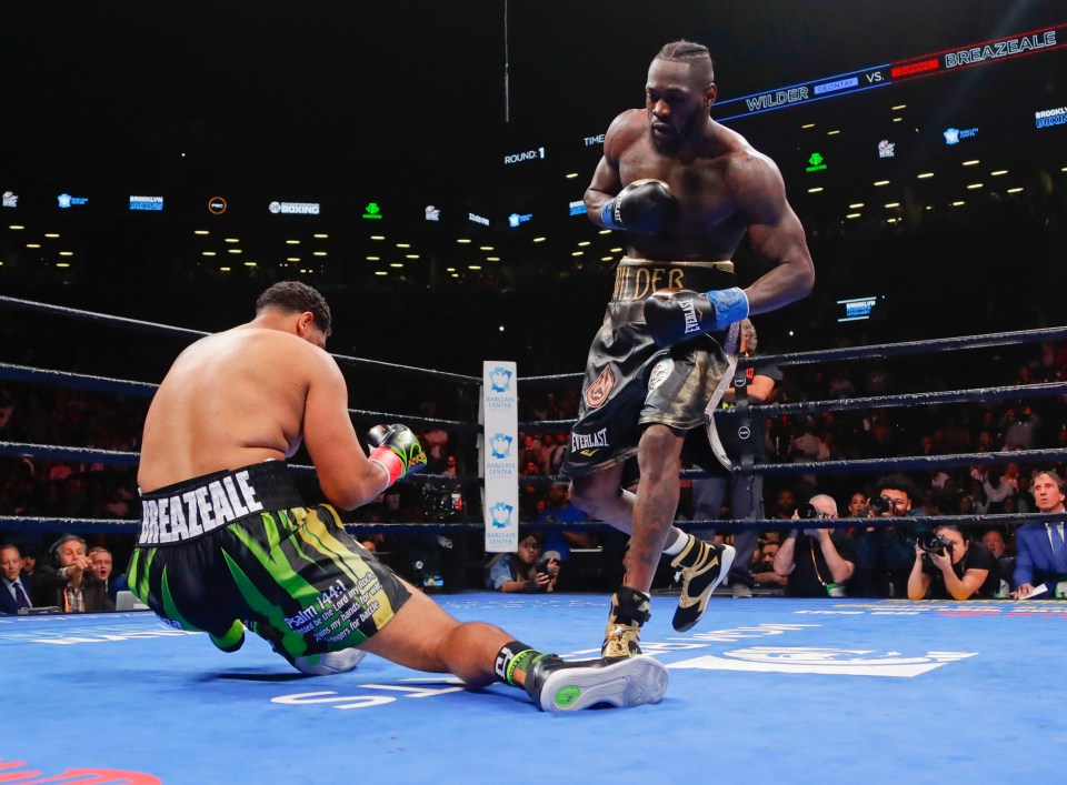  Wilder knocked out Dominic Breazeale in just a round in New York