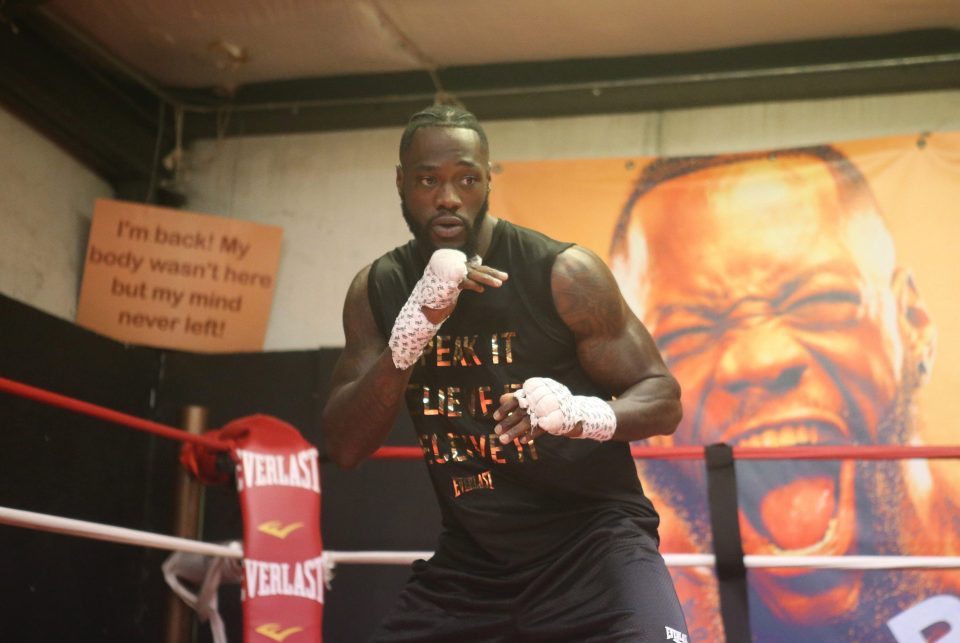  Deontay Wilder admitted he too would be open to enhancing his profile with a wrestling switch