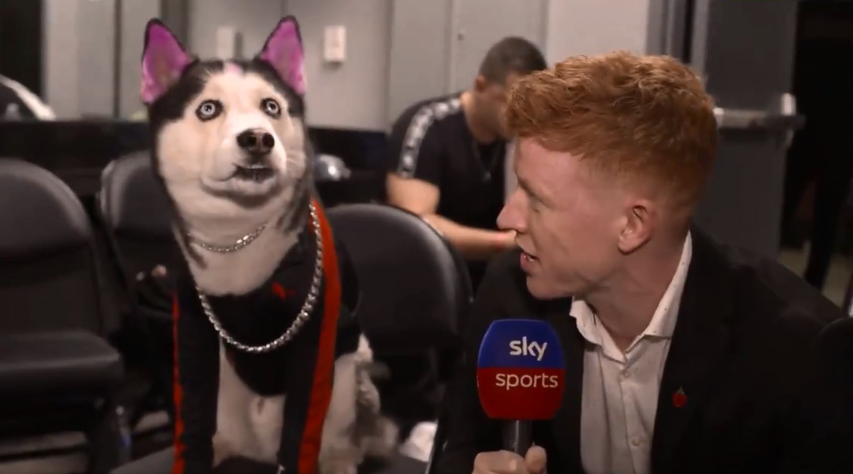  Swaggy Wolfdog took over the KSI vs Logan Paul rematch wearing a Puma jumper and gold chain