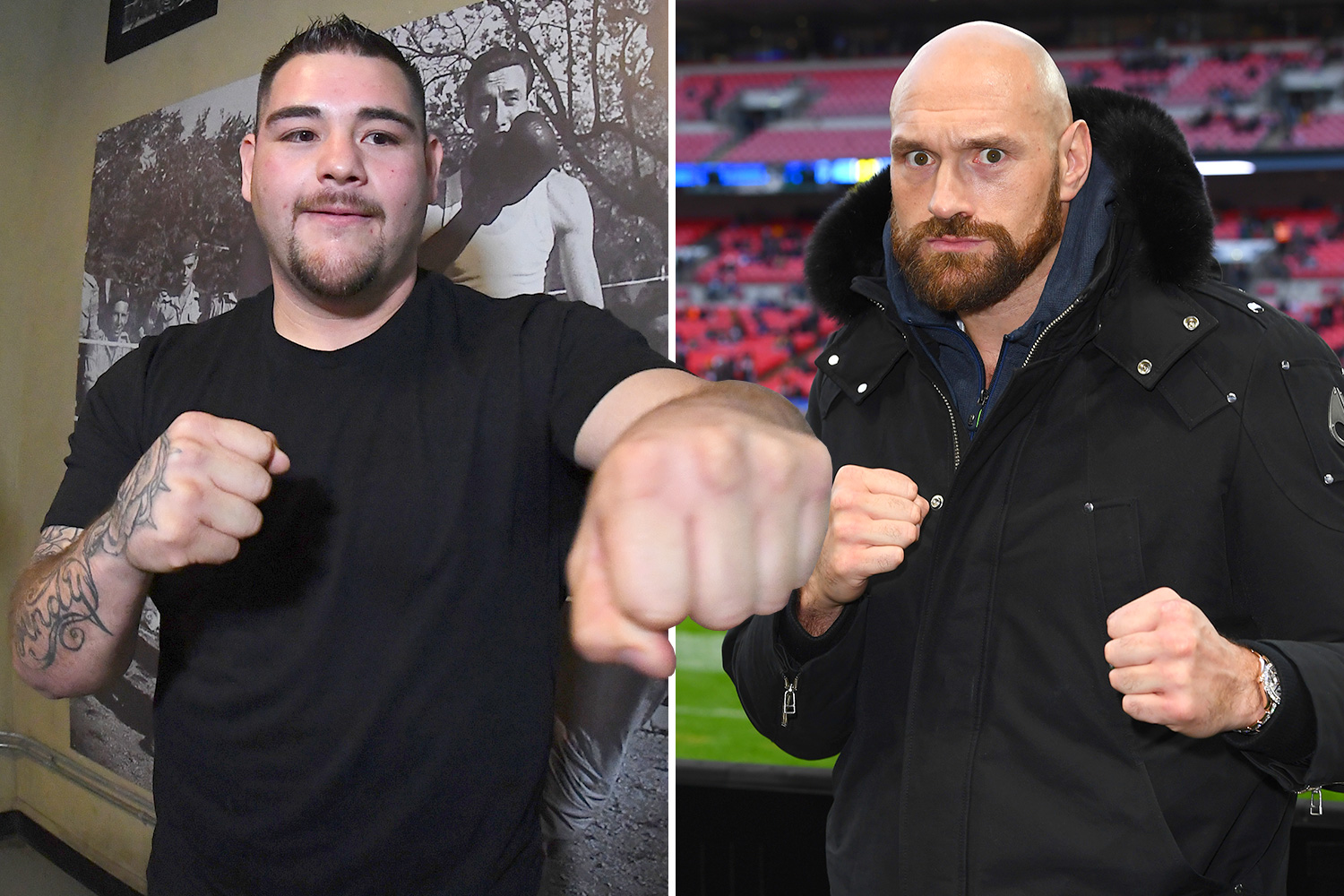  Andy Ruiz Jr has backed Tyson Fury's move to the WWE