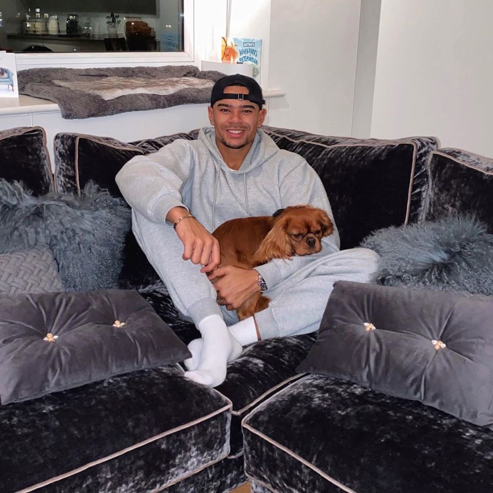 Wes Nelson posed on his enormous grey velvet sofa he'd been gifted by the brand with the adorable dog he shares with Arabella Chi