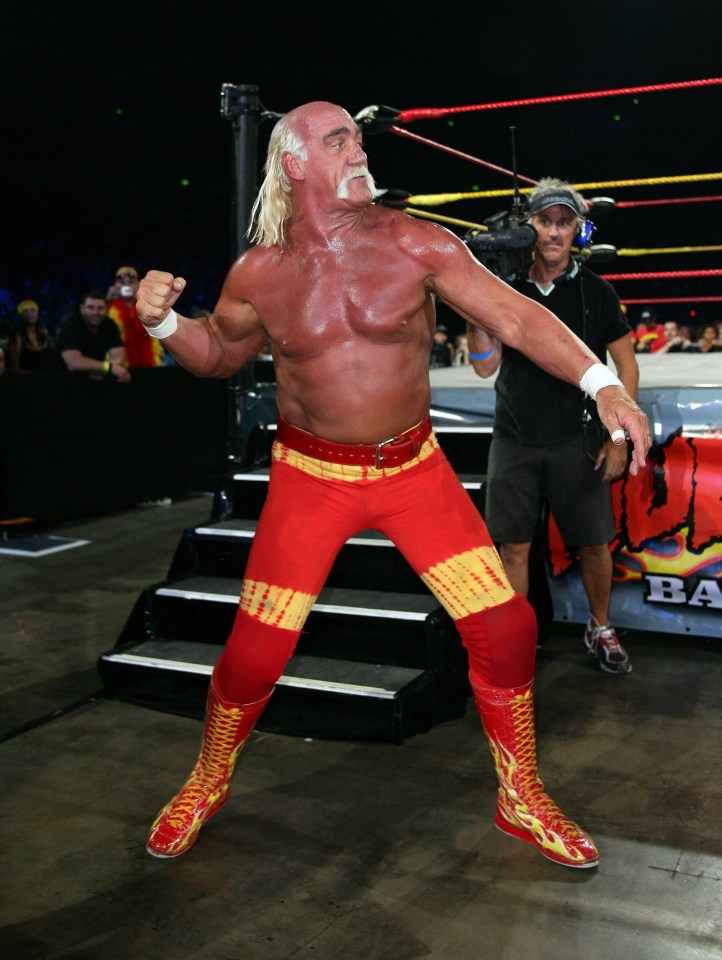  Hogan revealed that Race pulled a gun on him and demanded an introduction to Vince McMahon