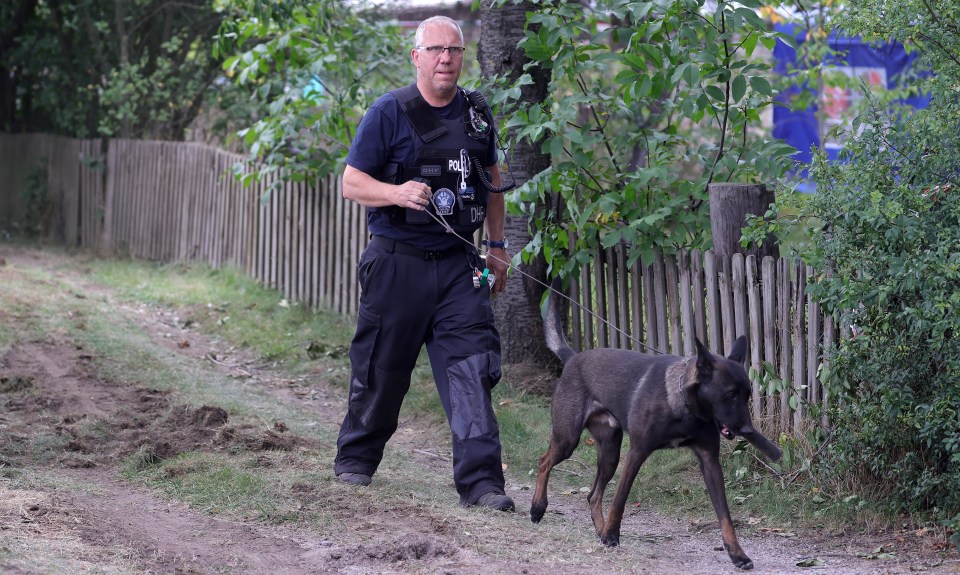 One officer with a sniffer dog