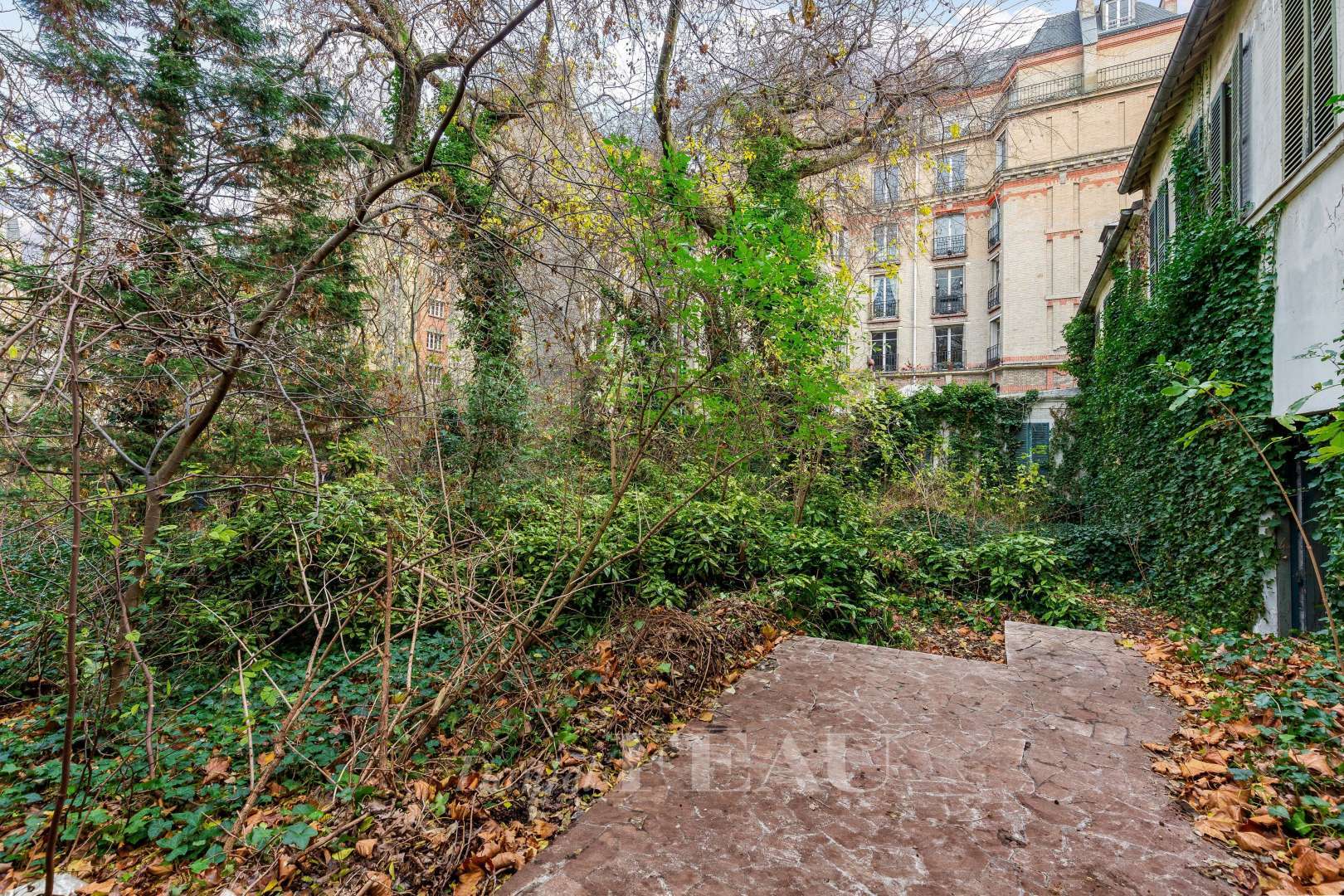 The garden of the exclusive property is overgrown 